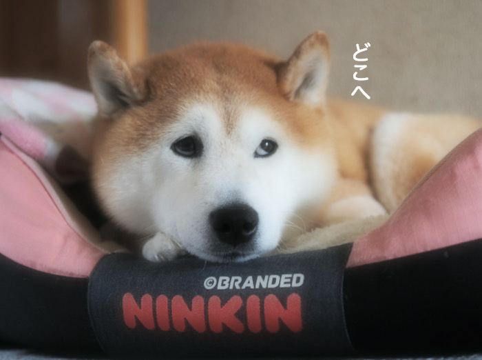 1日夜ブログ７