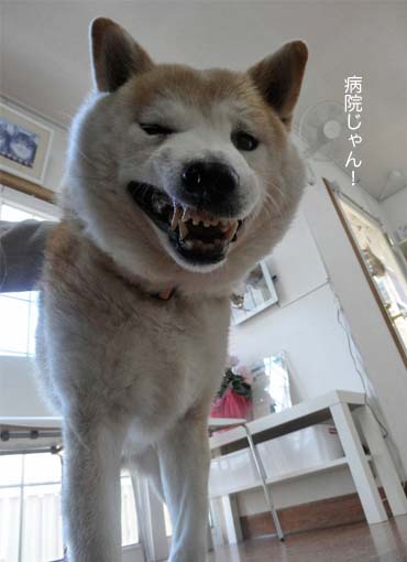 27日ブログ4.jpg