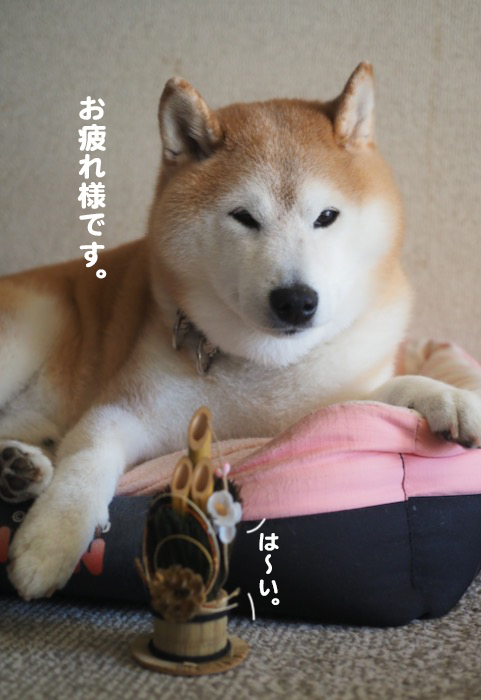 8日ブログ５