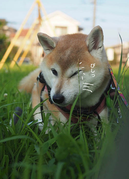 2日午後ブログ４