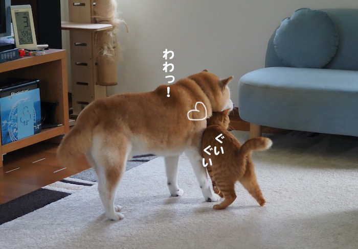 3日夕ブログ５