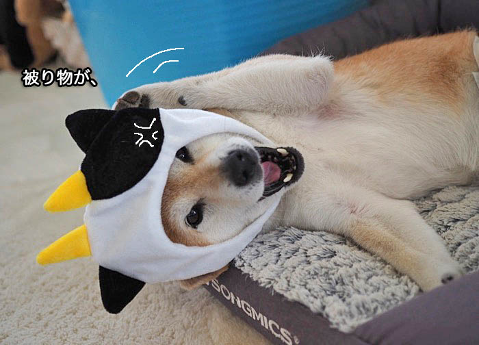 2日夜ブログ４