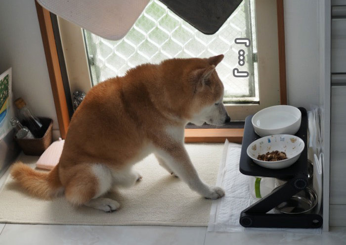 13日夕ブログ2