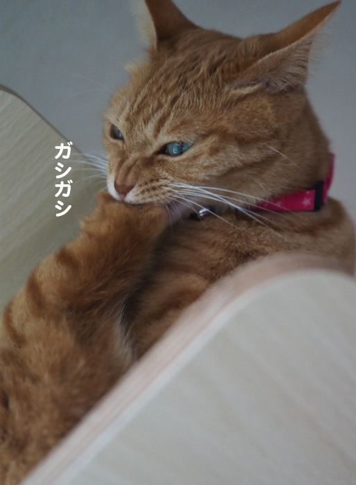 11日ブログ１