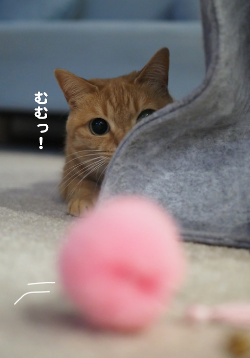 25日夕ブログ３