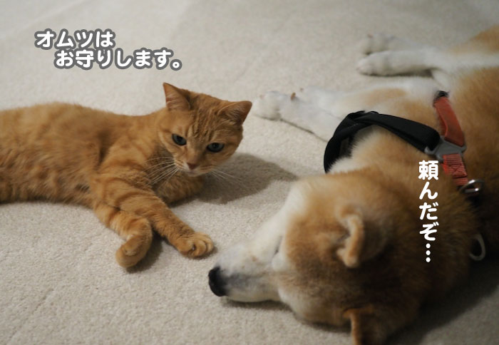 3日夕ブログ５