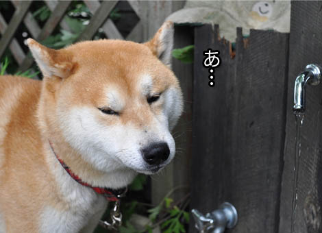 26日ブログ14.jpg