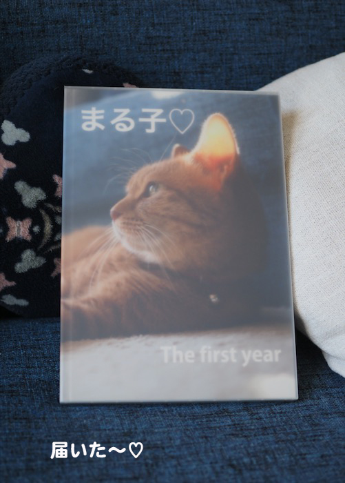 22日夕ブログ５