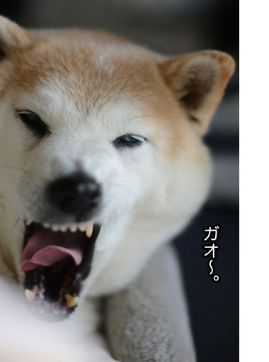 4日ブログ7.jpg