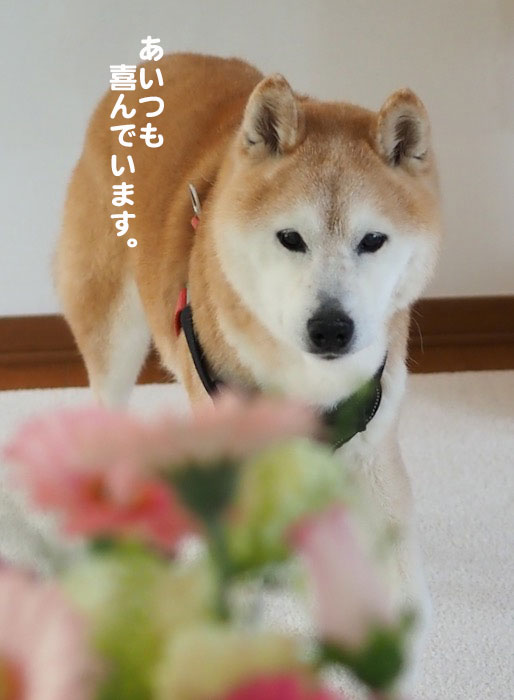 26日夕ブログ３