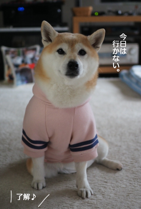 7日ブログ５