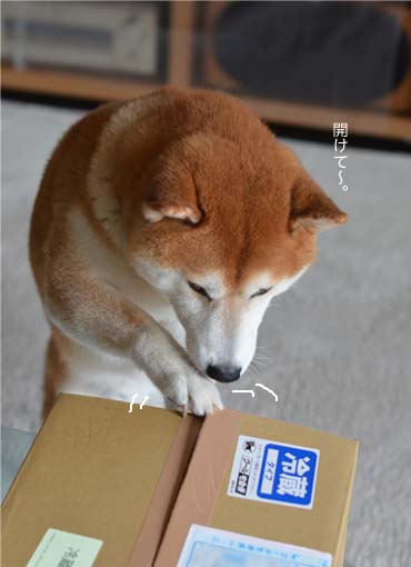 29日ブログ5.jpg