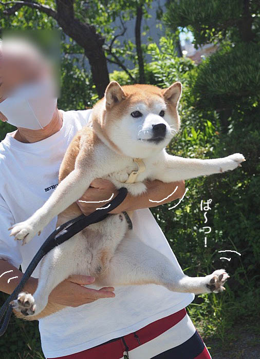12日ブログ２