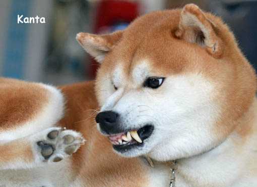 26日ブログ3.jpg