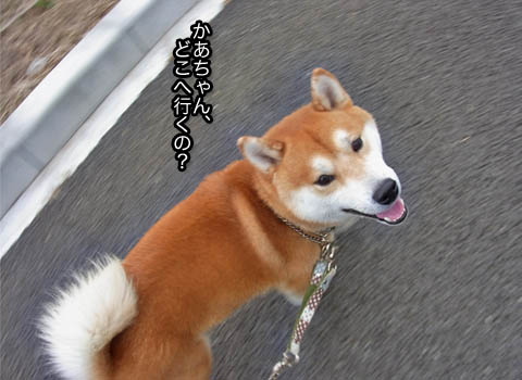25日ブログ2.jpg