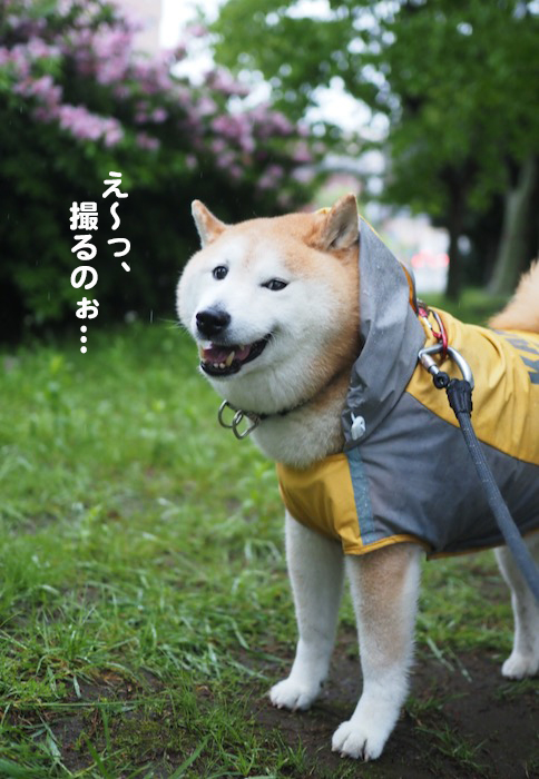16日夕ブログ５