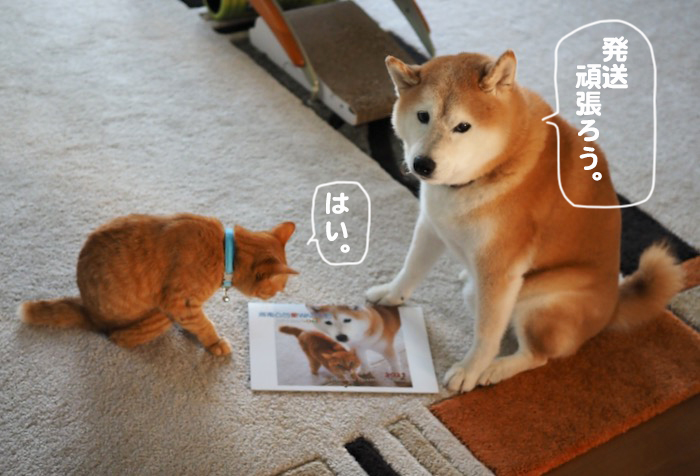 17日夕ブログ５