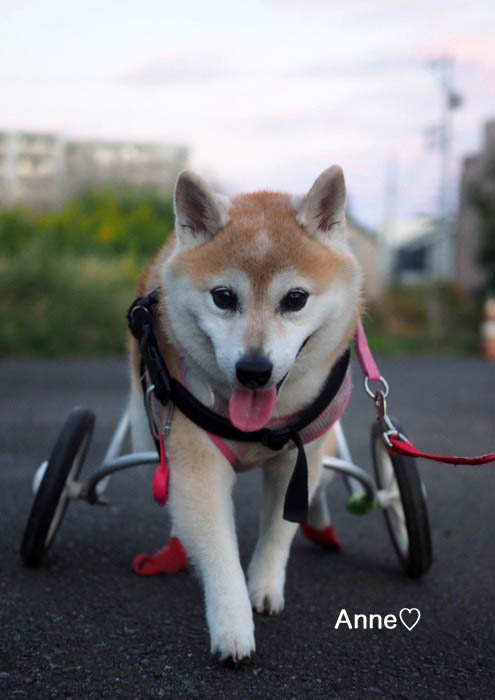 14日夕ブログ２