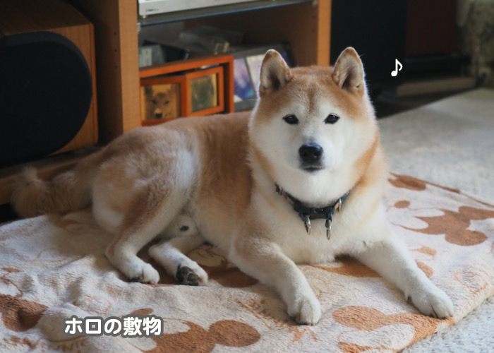 17日ブログ2
