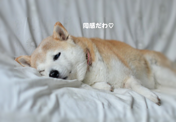 8日夕ブログ５