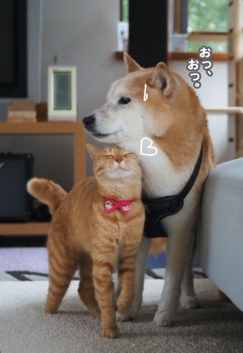 15日ブログ２