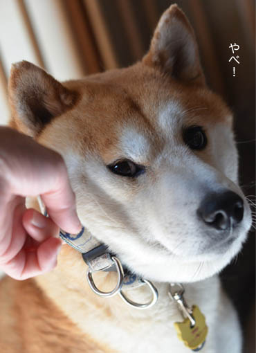 26日ブログ２.jpg