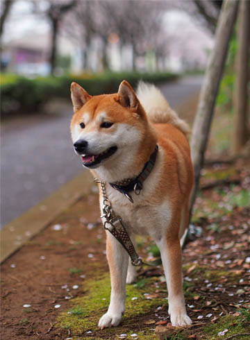 28日ブログ3.jpg