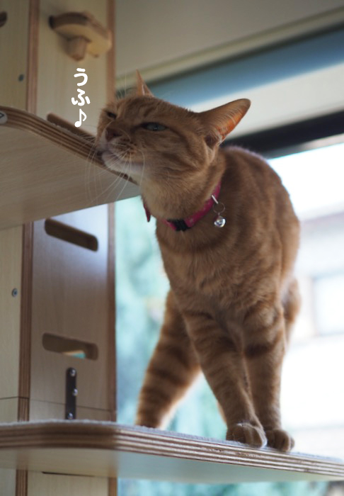 8日夕ブログ５