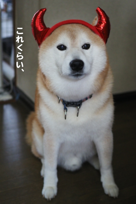 31日夕ブログ３