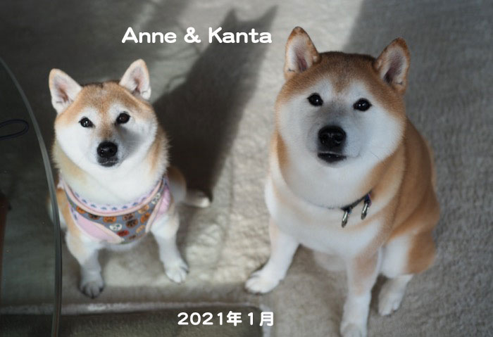 16日ブログ３