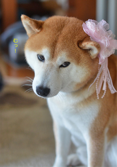 23日ブログ8.jpg