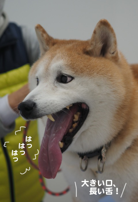 8日夕ブログ１