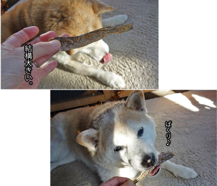 24日ブログ8