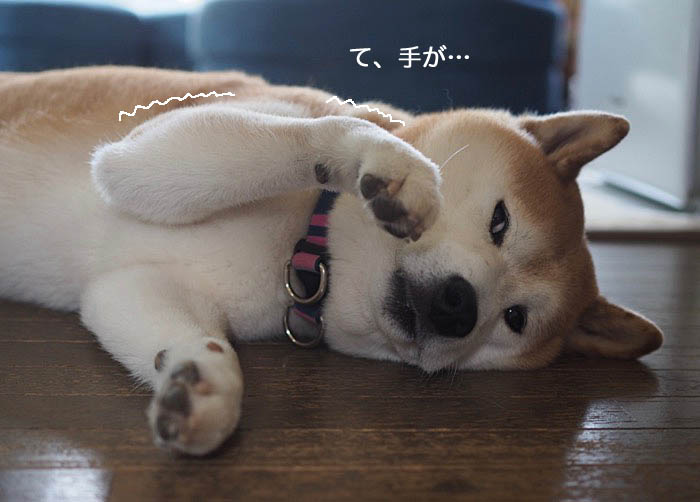 3日夜ブログ６