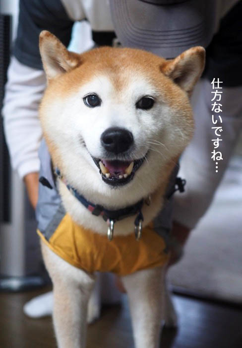 14日ブログ５