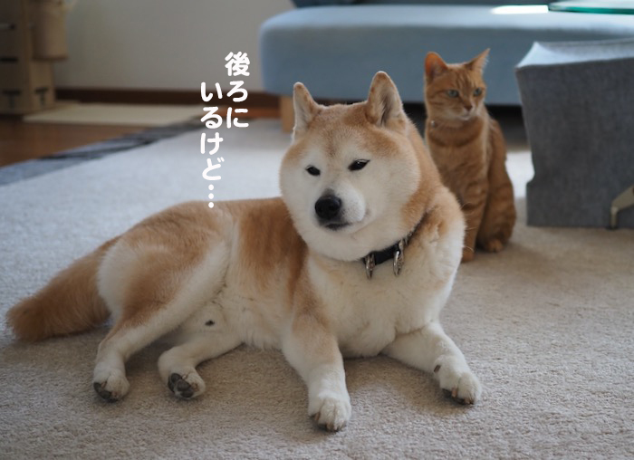 25日夕ブログ2