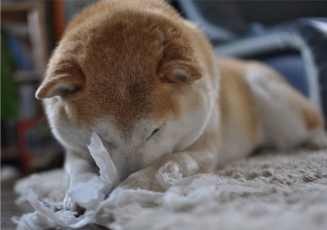 19日ブログ８.jpg