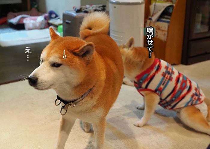 28日ブログ３