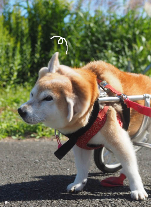 8日夕ブログ９