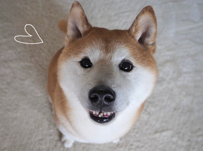 10日ブログ４
