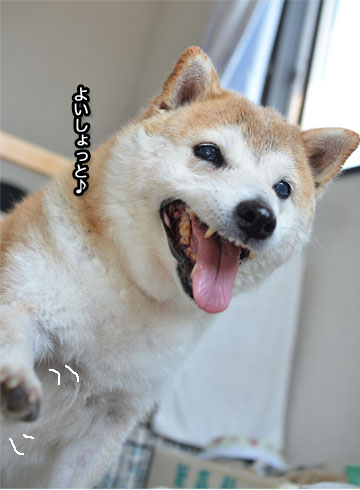 26日ブログ5.jpg