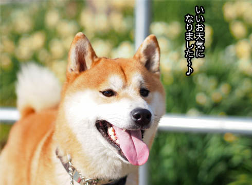 20日ブログ2.jpg