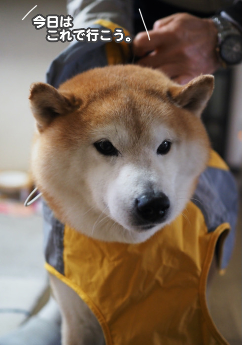 3日夜ブログ３