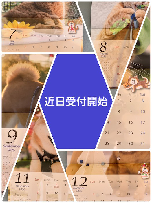 12日夕ブログ１０
