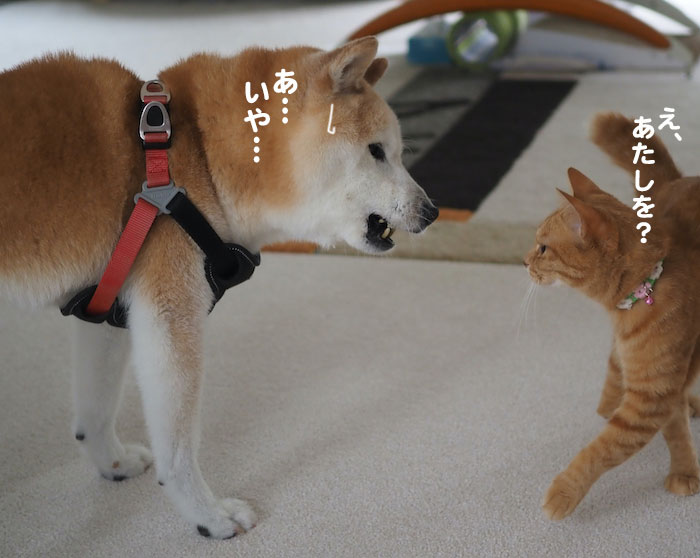 3日夕ブログ４