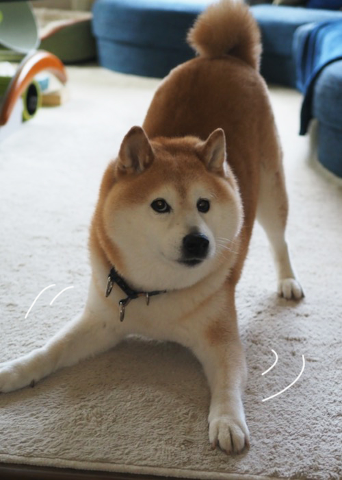 24日ブログ１