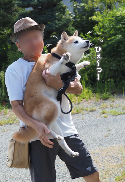 11日夕ブログ５