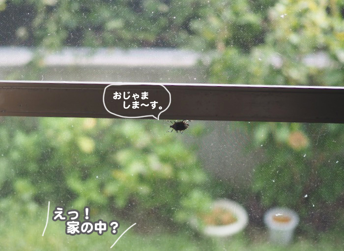 7日夕ブログ３