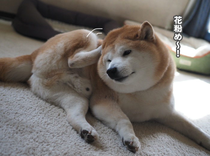 15日ブログ５