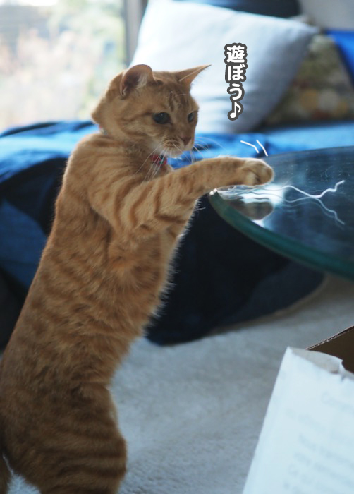 25日夕ブログ４